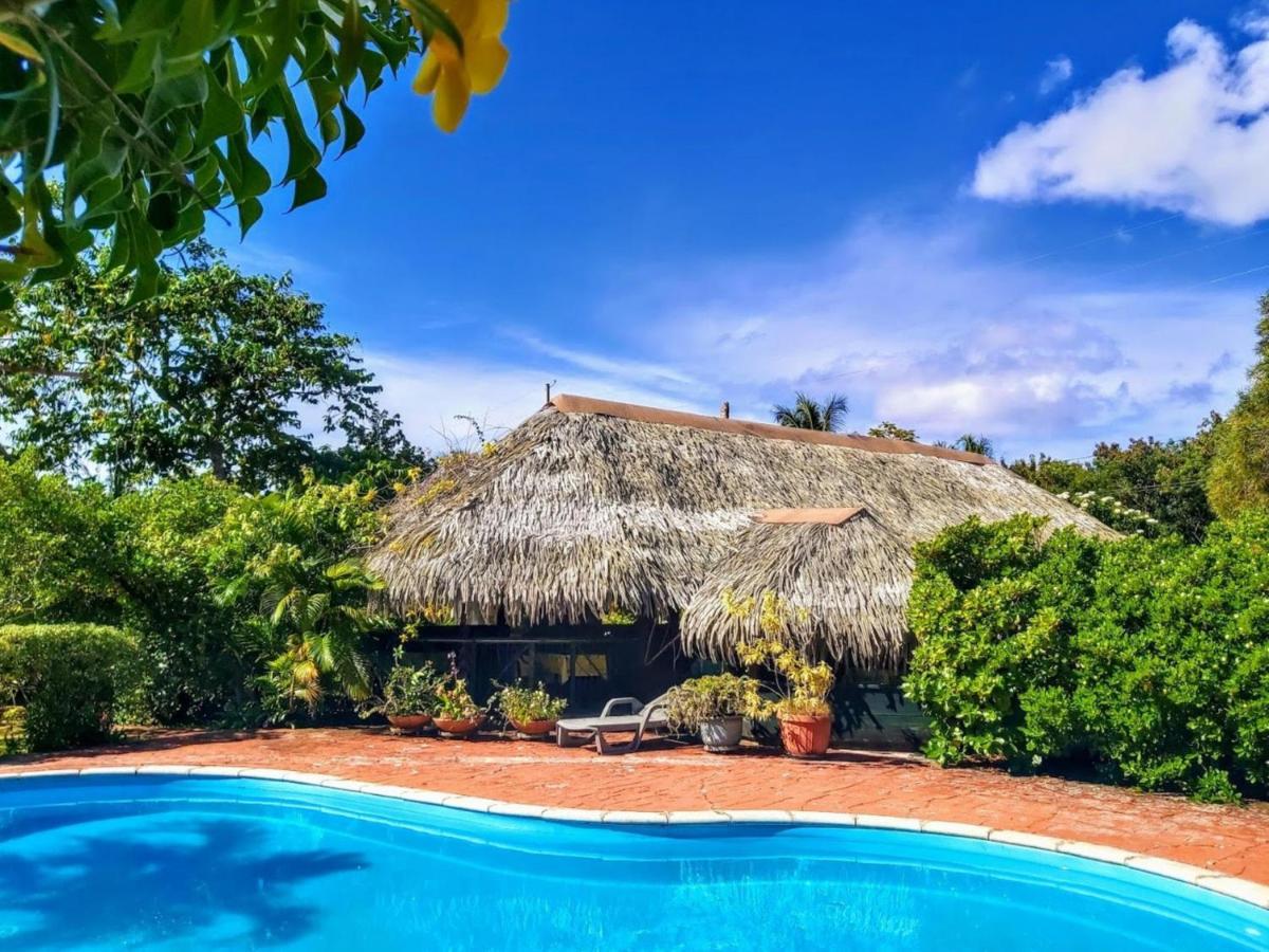 Huahine - Bungalow Tiare Fare Buitenkant foto
